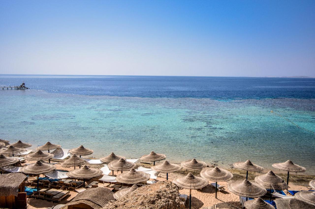 Dive Inn Resort Σαρμ Ελ Σέιχ Εξωτερικό φωτογραφία