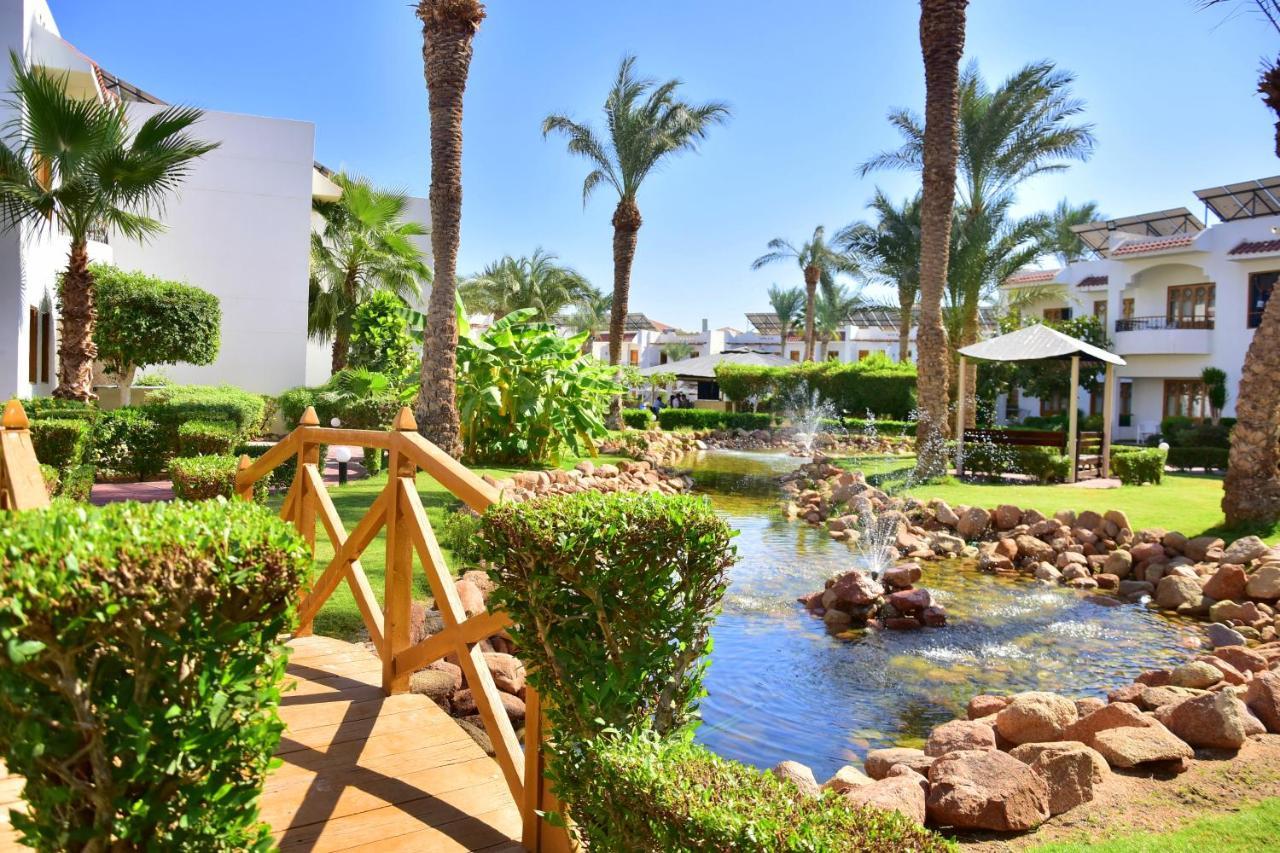 Dive Inn Resort Σαρμ Ελ Σέιχ Εξωτερικό φωτογραφία