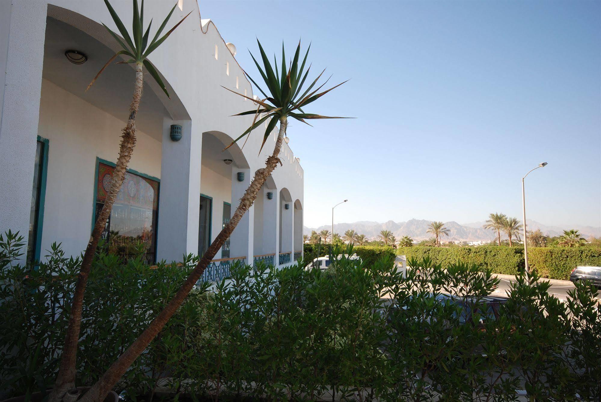 Dive Inn Resort Σαρμ Ελ Σέιχ Εξωτερικό φωτογραφία